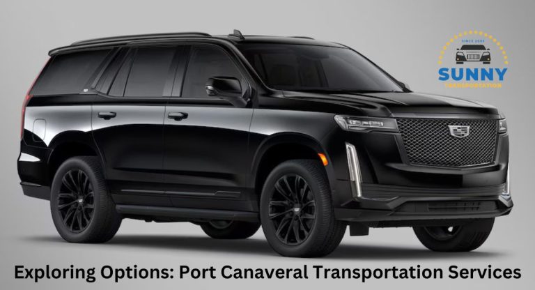 Exploring Options: Port Canaveral Transportation Services